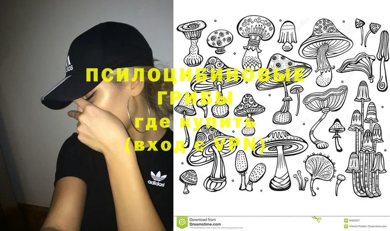 Галлюциногенные грибы Magic Shrooms  shop формула  Наволоки  магазин   